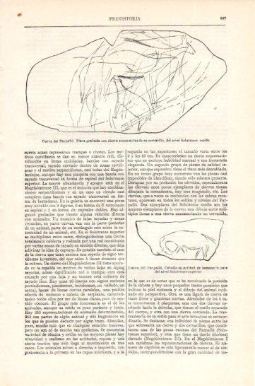 LAMINA V47427: Grabados de animales de la Cueva del Parpallo, Valencia