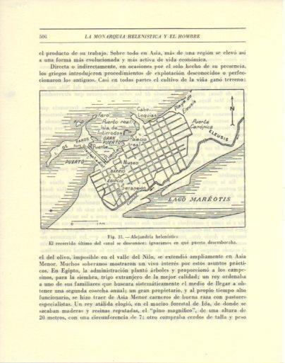 LAMINA V47926: Plano de Alejandria helenistica