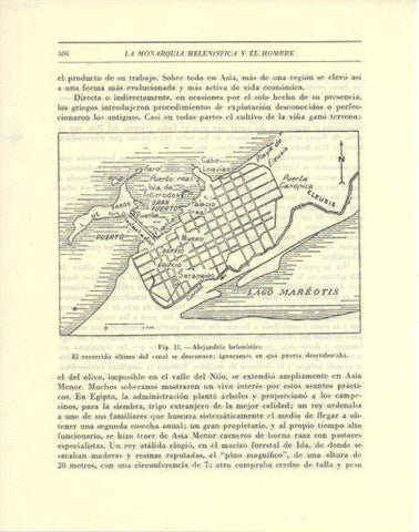 LAMINA V47926: Plano de Alejandria helenistica