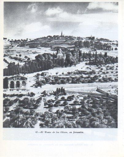 LAMINA V47868: Monte de los Olivos, Jerusalen