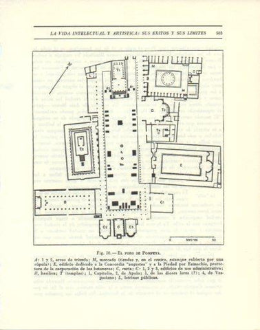 LAMINA V47857: Plano de el Foro de Pompeya