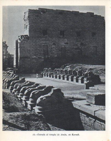 LAMINA V47891: Entrada al templo de Amon en Karnak