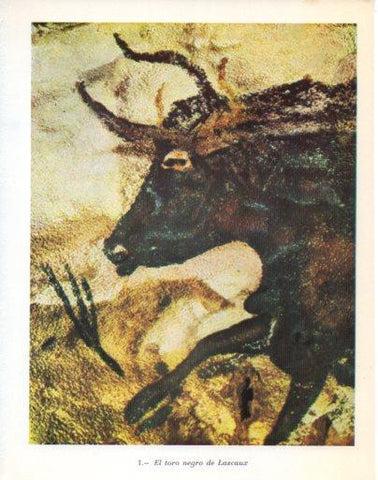 LAMINA V47880: Toro negro de Lascaux