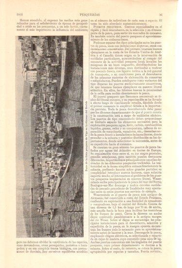 LAMINA V47989: Flota pesquera de Vigo en la darsena del Berbes