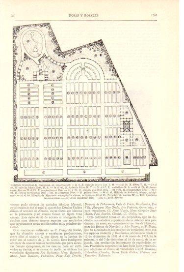 LAMINA V48004: Rosaleda Municipal de Barcelona plano