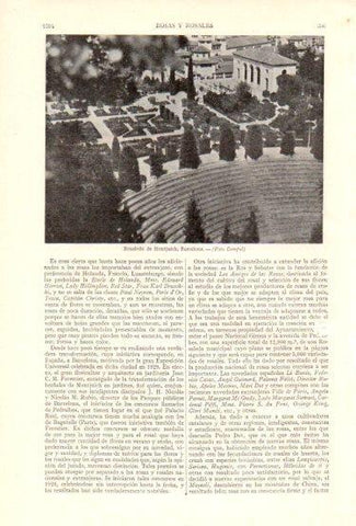 LAMINA V48003: Rosaleda de Montjuich, Barcelona