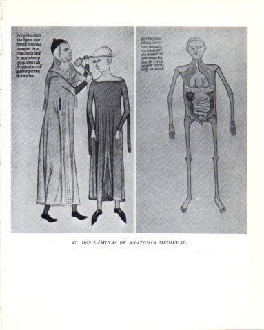 LAMINA V47828: Dos laminas de anatomia medieval