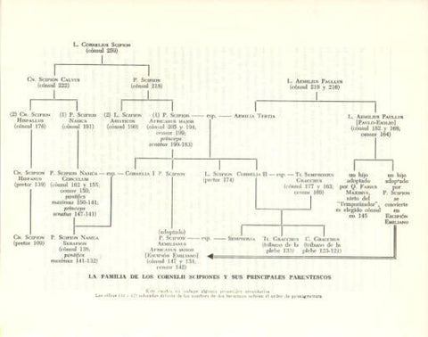 LAMINA V47846: Arbol genealogico de los Cornelii Scipiones