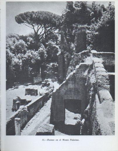 LAMINA V47844: Ruinas en el Monte Palatino