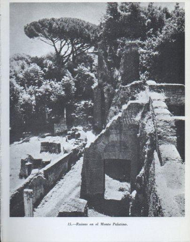 LAMINA V47844: Ruinas en el Monte Palatino
