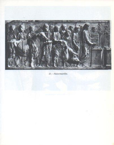 LAMINA V47840: Suoventaurilia