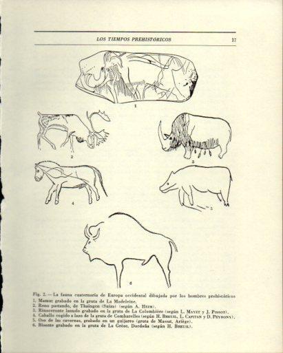 LAMINA V47813: Fauna cuaternaria de Europa accidental dibujada por hombres prehistoricos
