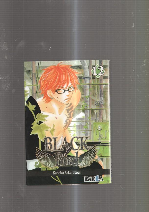 Manga: Black Bird numero 12