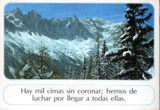 POSTAL PV12741: Postal de la amistad num. 43