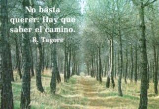 POSTAL PV12734: R. Tagore. No basta querer: Hay que saber el camino