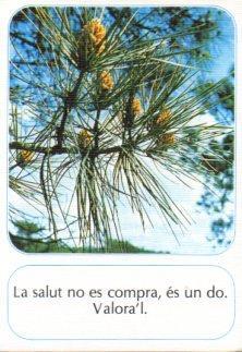 POSTAL PV12736: Postal de la amistad num. 23