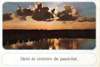 POSTAL PV12778: Postal de la amistad num. 48