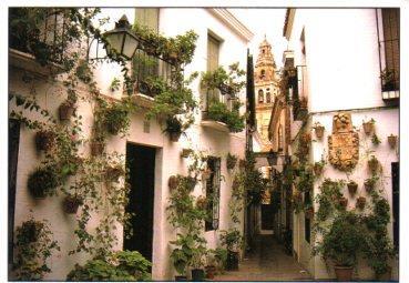 POSTAL PV12674: Calle de las Flores en Cordoba