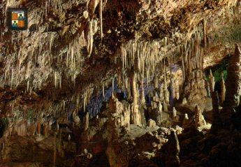 POSTAL PV12644: Salon de Armas en Cuevas dels Hams, Mallorca