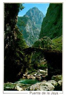 POSTAL PV12909: Puente de la Jaya, Picos de Europa