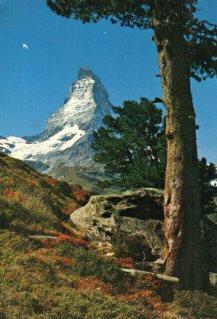 POSTAL PV12824: Bergarve bei Zermatt