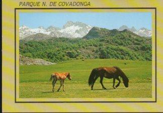 POSTAL PV12390: Parque Nacional Picos de Europa