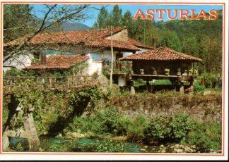 POSTAL PV12338: Casa tipica con horreo en Asturias