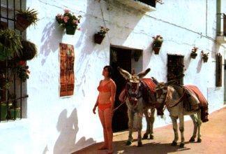 POSTAL PV12577: Mujer en bikini con burro en Mijas