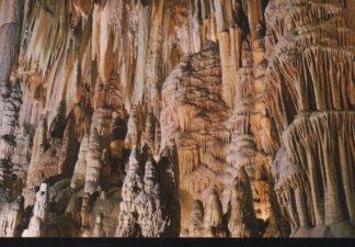 POSTAL PV12510: Sala Pequeñas Maravillas, Cueva de Valporquero Leon