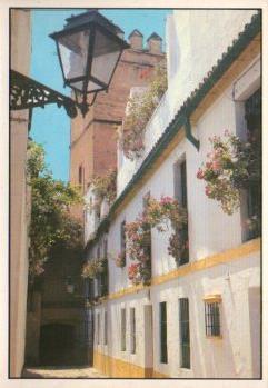 POSTAL PV13080: Sevilla. Calle tipica