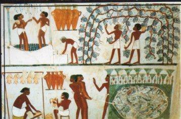 POSTAL PV13143: Egypt. Luxor. Tomb of Nacht