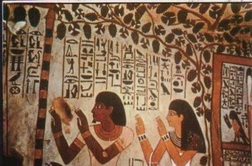 POSTAL PV13146: Egypt. Luxor. Tomb of Sennefer