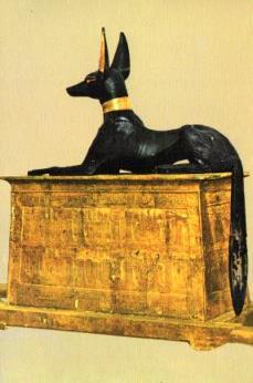 POSTAL PV13120: Cofre del Dios Anubis. Museo Egipcio del Cairo