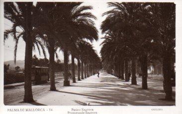 POSTAL PV13004: Palma de Mallorca. Paseo Sagrera