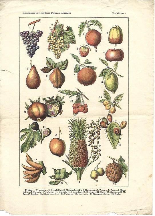 LAMINA 38791:Frutas