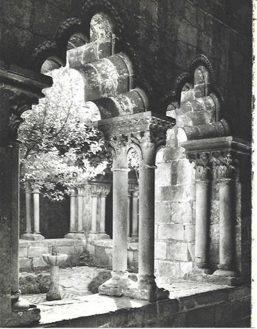 LAMINA 38702: Claustro de Sant Pau del Camp, La Seu d'Urgell