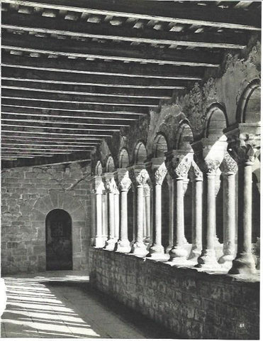 LAMINA 38714: Claustro de L'Estany