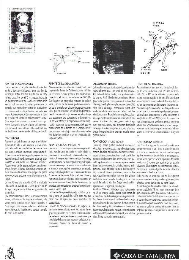 LAMINA 38775: Font Groga y Font de la Salamandra