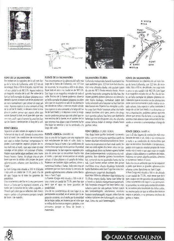 LAMINA 38775: Font Groga y Font de la Salamandra