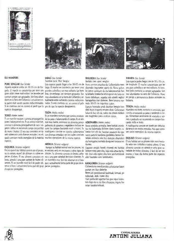 LAMINA 38776: Los mamiferos: jabali, tejon y ardilla