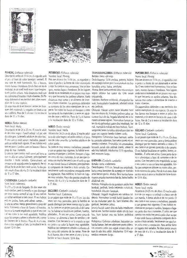 LAMINA 38778: Petirrojo, mirlo y jilguero