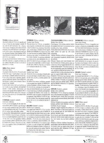 LAMINA 38778: Petirrojo, mirlo y jilguero