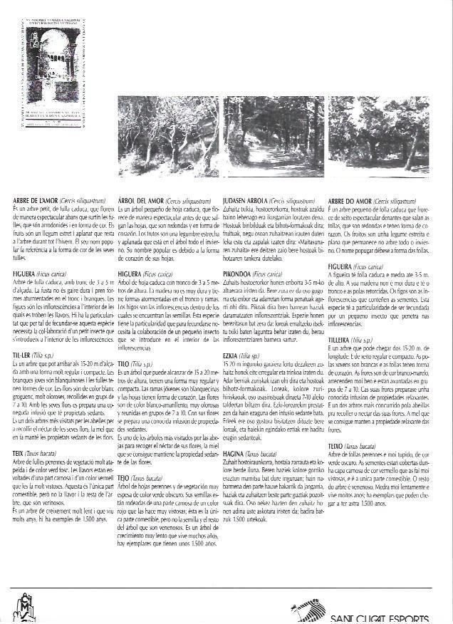 LAMINA 38782: Arbol del amor, higuera, tilo y tejo