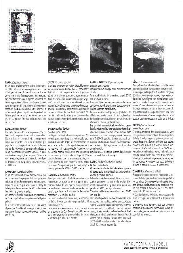 LAMINA 38777: Carpa, barbo y gambusia