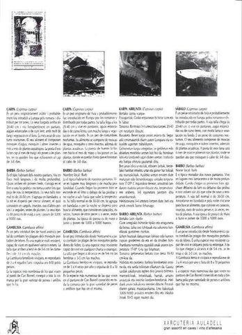 LAMINA 38777: Carpa, barbo y gambusia