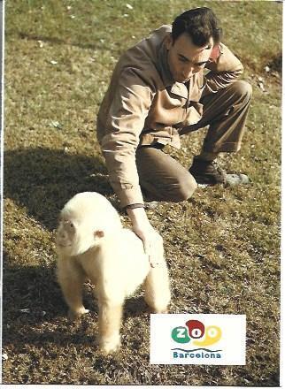 POSTAL A6415: Copito de Nieve en 1966