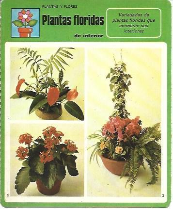 POSTAL A6350: Plantas floridas