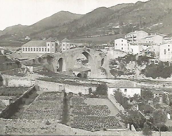 Foto 18449: Puente sobre el Ter en Sant Joan de les Abadesses Tarragona