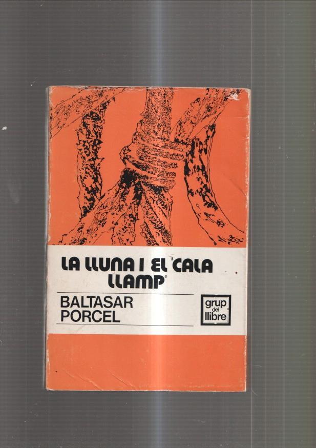 La lluna i El Cala Llamp