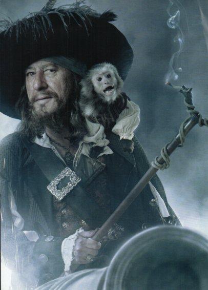 LAMINA V48531: Piratas del Caribe actor de la pelicula